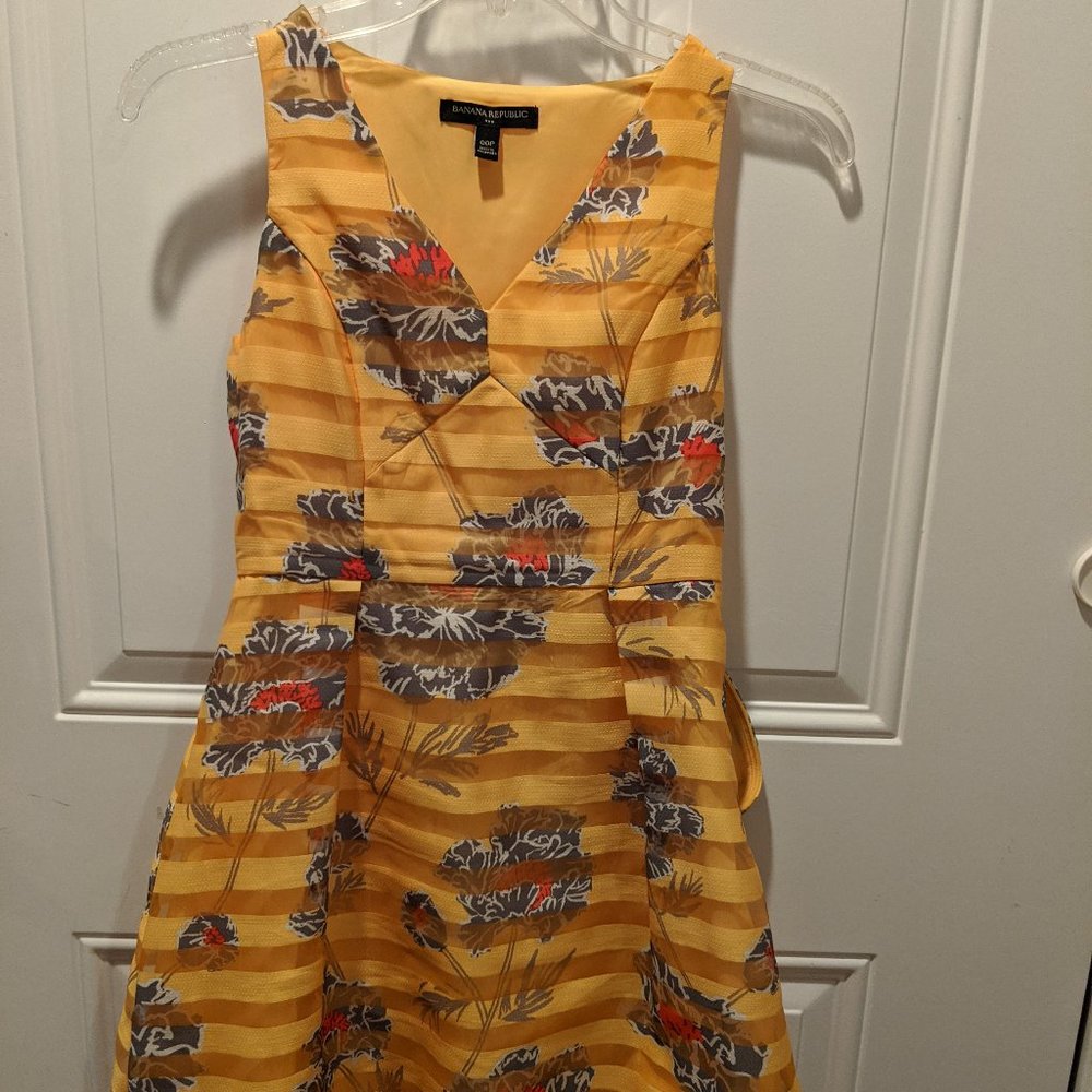 Banana Republic lovely floral fit and flare dress